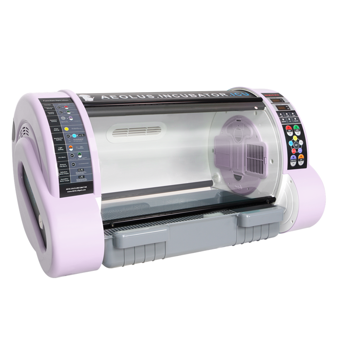 Pet Incubator